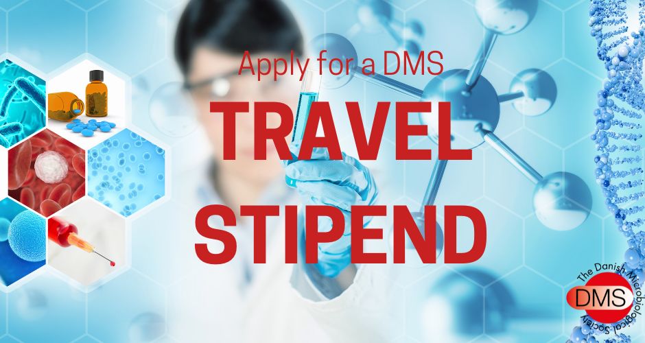 DMS grant application